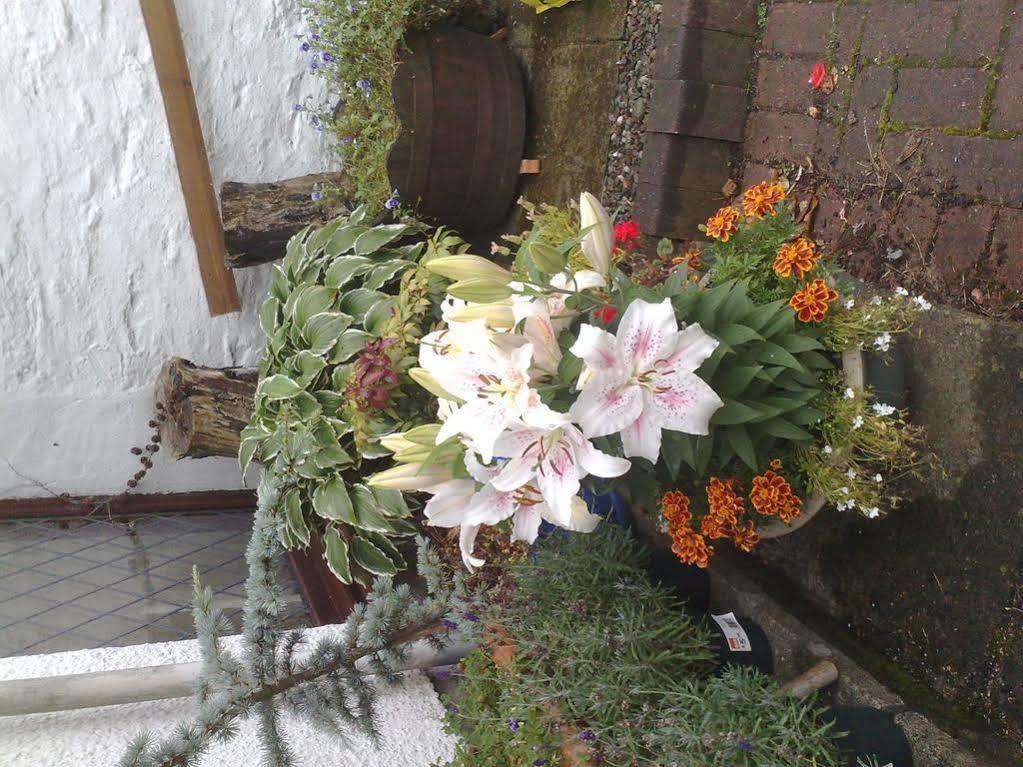 Hillview Cottage Stirling Buitenkant foto