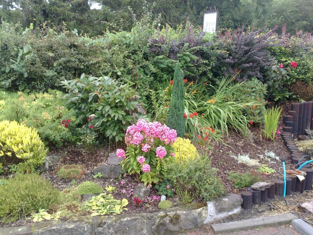 Hillview Cottage Stirling Kamer foto
