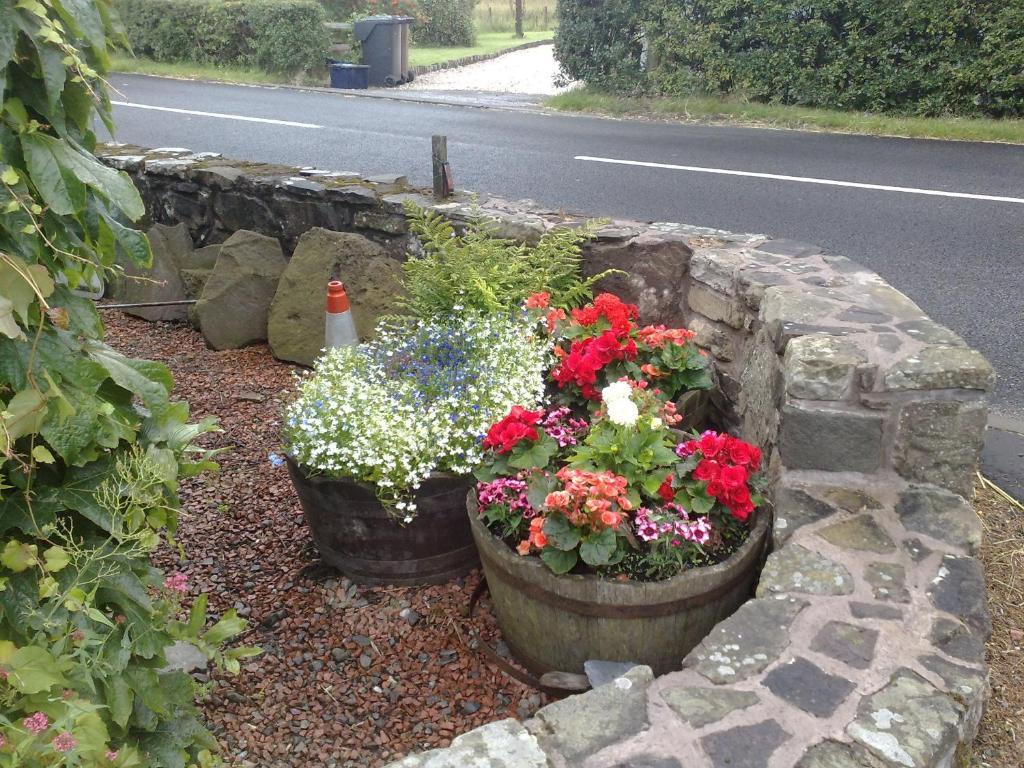 Hillview Cottage Stirling Kamer foto